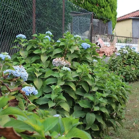 Quinta Da Imaculada اركوس دي فالديفيز