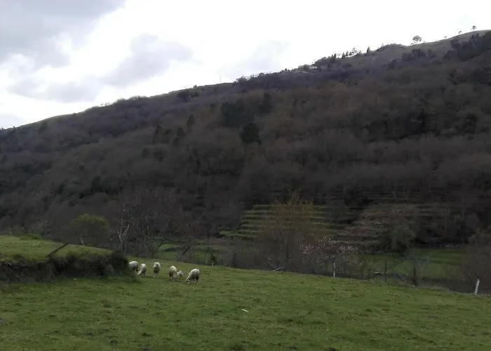 Casa vacanze Quinta Da Imaculada Arcos de Valdevez