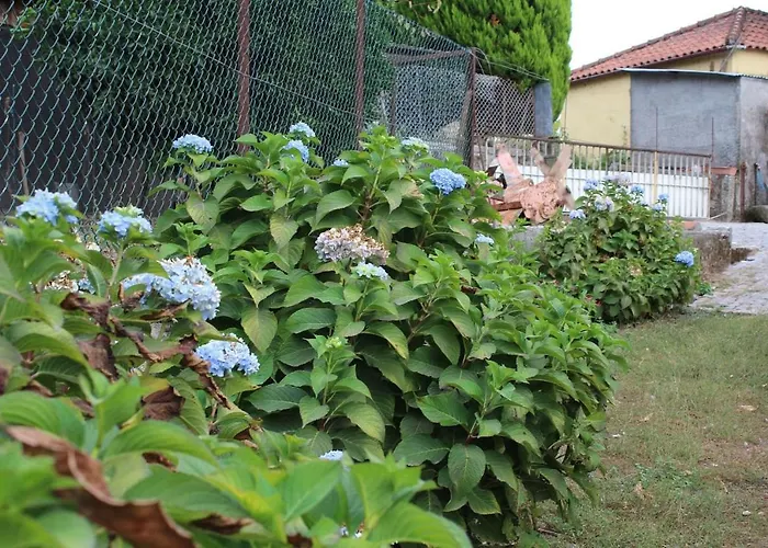 Quinta Da Imaculada اركوس دي فالديفيز